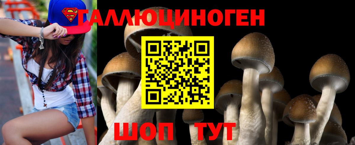 Псилоцибиновые грибы MAGIC MUSHROOMS  Галлюциногенные грибы прущие грибы  Вход с VPN  Белорецк 